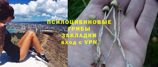 эйфоретик Надым